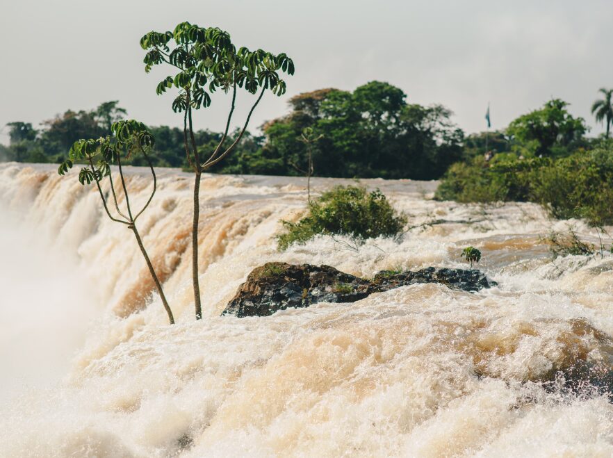 Iguazú Falls in high flood