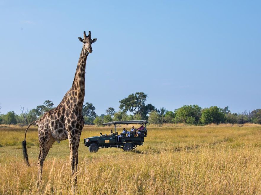 Zarafa Camp, Okavango Delta, Botswana