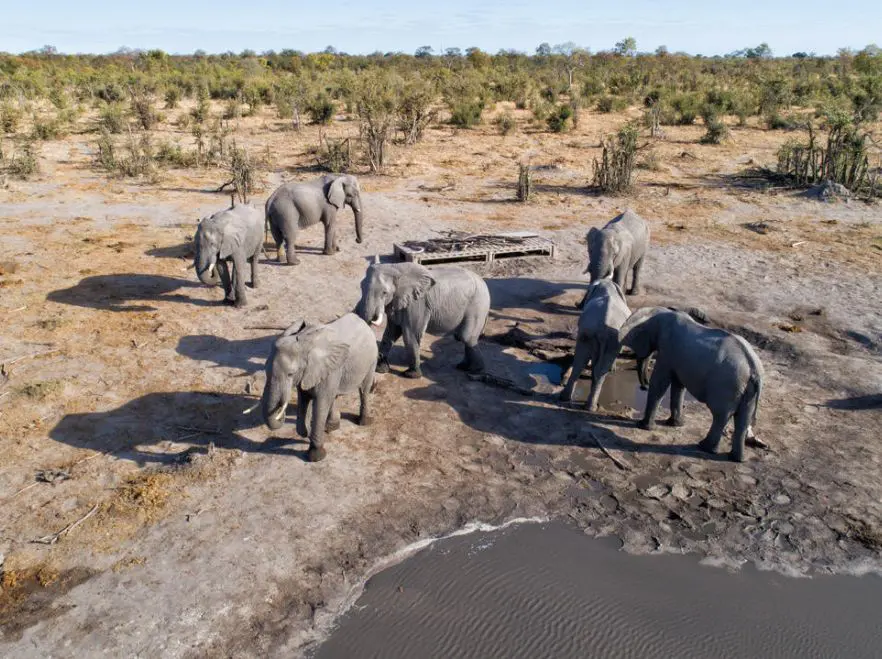 The watering hole at Skybeds, Okavango Delta, Botswana