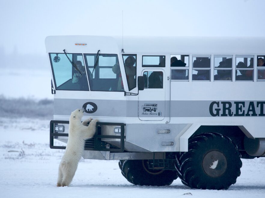 Meet the locals