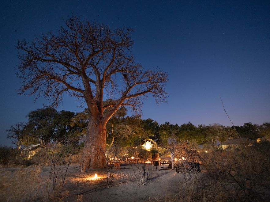 Dinner under the stars at Sitatunga in the Okavango Delta