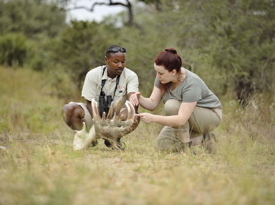 Roho ya Selous, Tanzania