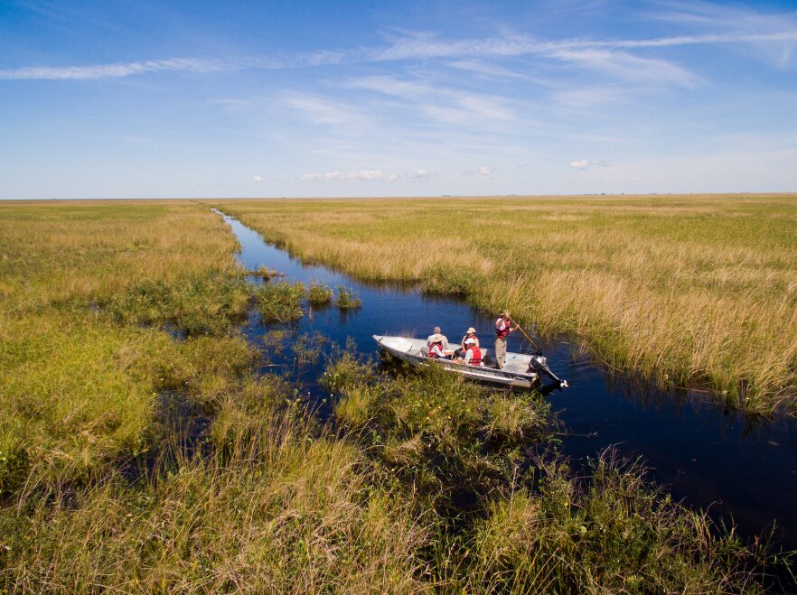 Exploring the Wetlands from Puerto Valle