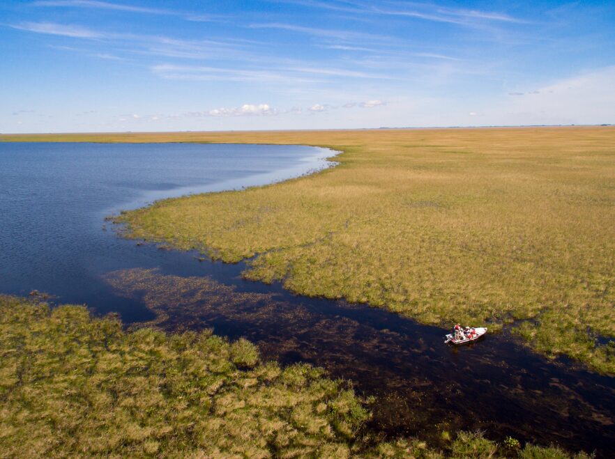 Exploring the Wetlands from Puerto Valle