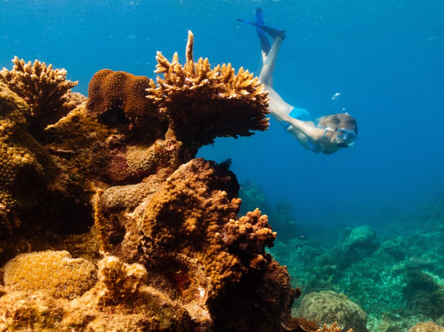 Diving in Con Dao, Six Senses Con Dao, Con Dao Islands, Vietnam