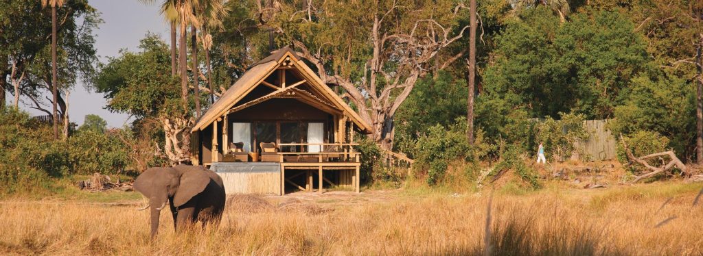 Thatched chalet at Eagle Island Lodge with an elephant grazing in the foreground.