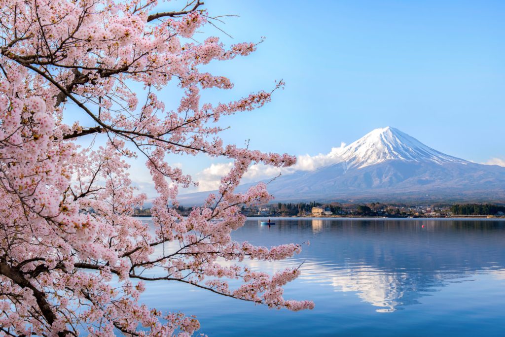 Cherry Blossom + Beyond: Japan Through the Seasons