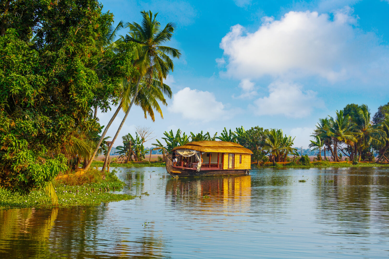 The Essence of South India