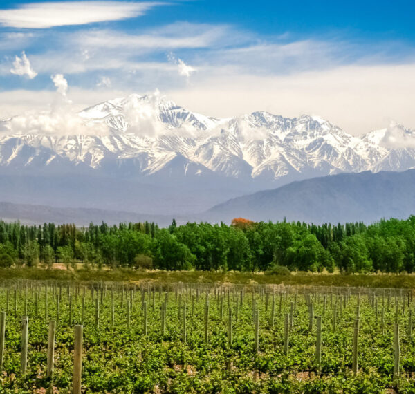 Mendoza