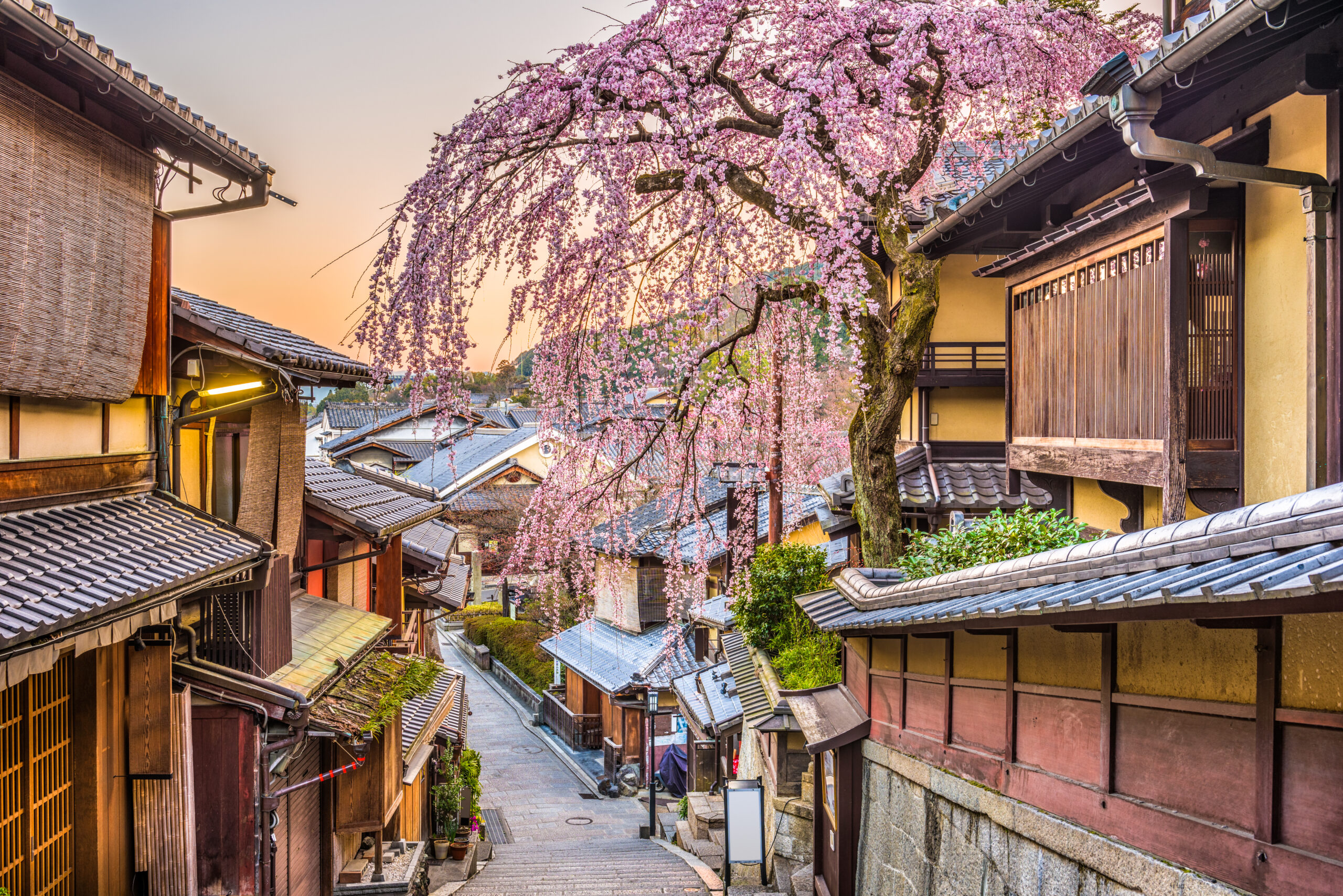 Japan’s Hidden Gems