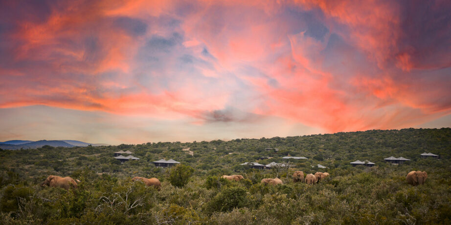 KWANDWE-PRIVATE-GAME-RESERVE-Ecca-Lodge-Scenery-e1718106109437