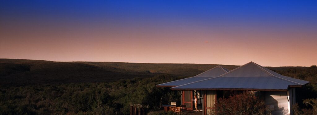 A metal roofed suite with a wooden deck stands above dense bushveld at dusk, with a figure standing at the doorway and hills beyond.
