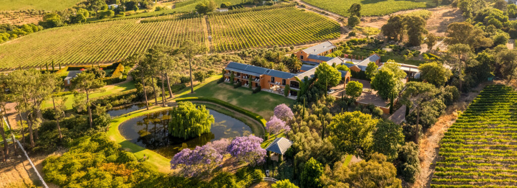 Aerial view of a Cape Dutch style manor and gardens with a pond, set among vineyard rows and mountains in the Franschhoek valley.