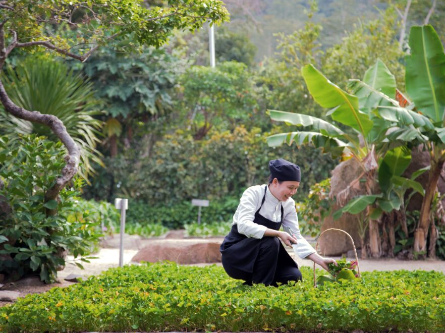 Organic Garden, Six Senses Ninh Van Bay, Nha Trang, Vietnam