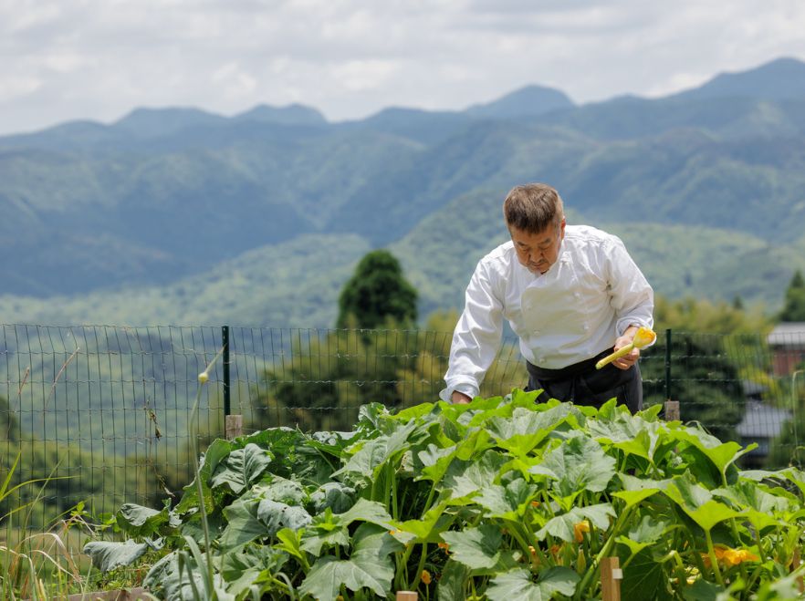Vegetable Harvesting in the Gardens, Sasayuri-Ann, Nara, Japan