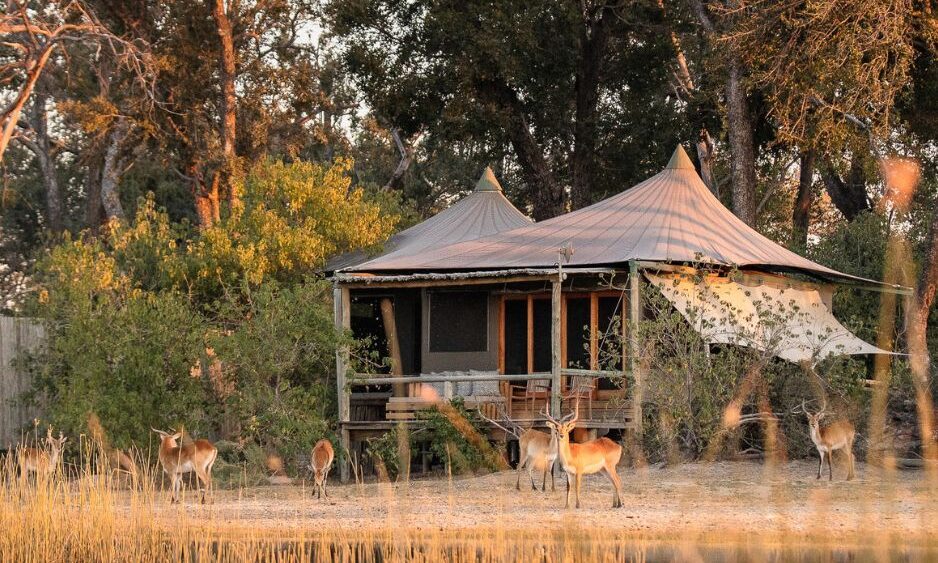 Little Vumbura luxury camp in Botswana
