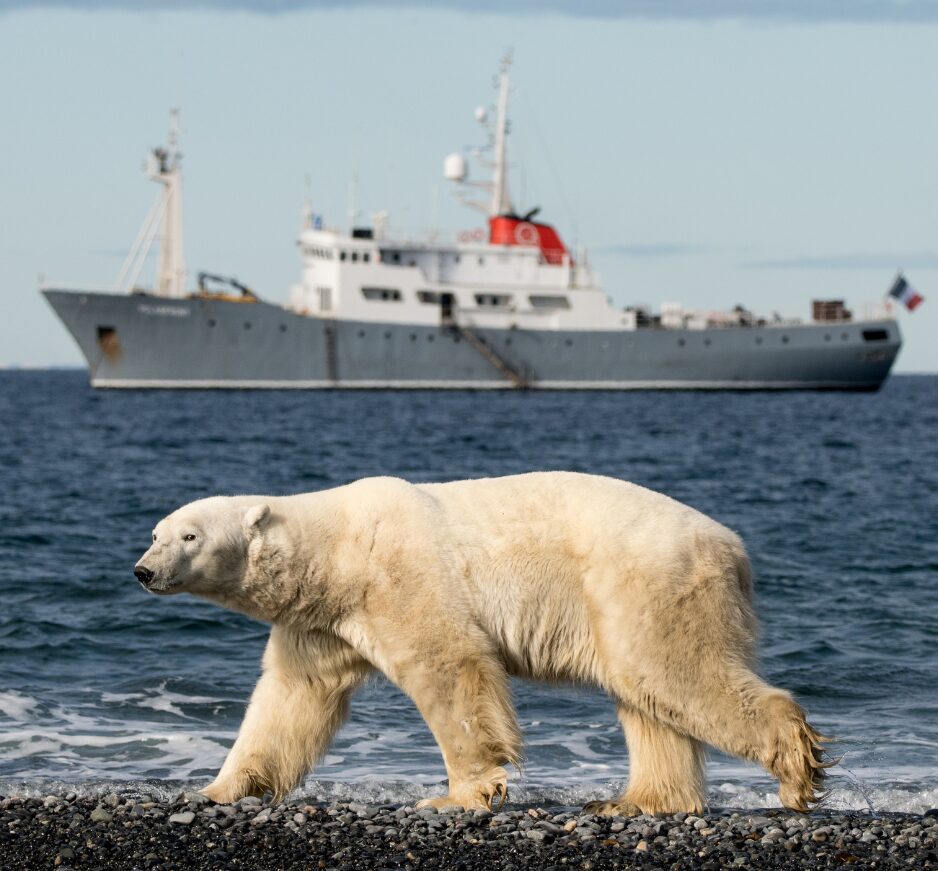 Polar Front, Svalbard