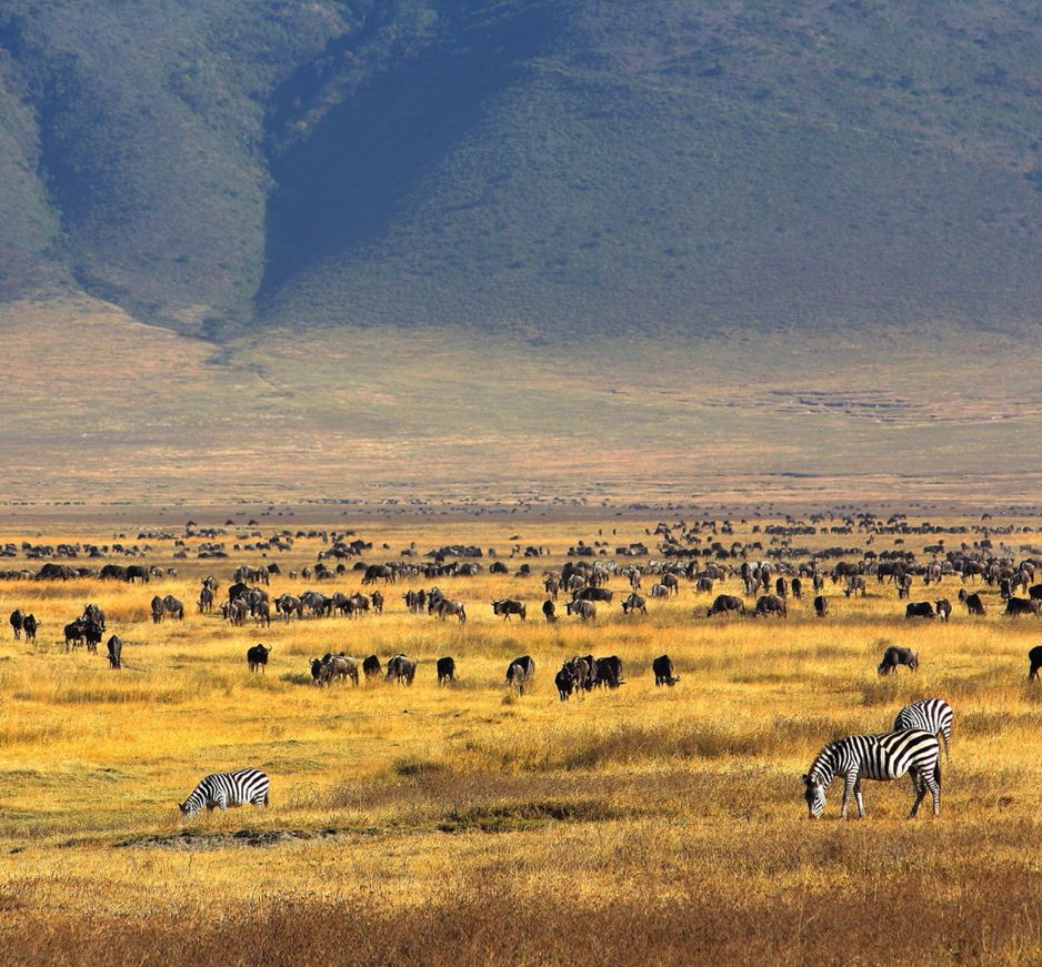 Tanzania: Icons of the North