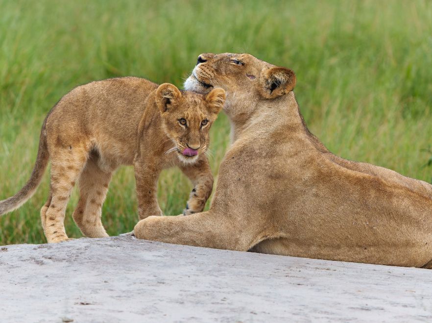 Okavango Delta, Botswana