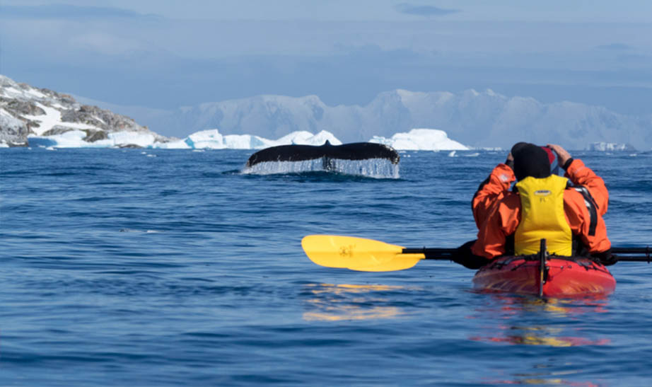 antarctica-gallery-landscape-Artboard-6