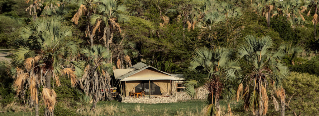 A canvas safari tent, chem chemical lodge, with a stone base and private deck, surrounded by a dense palm grove and open woodland.