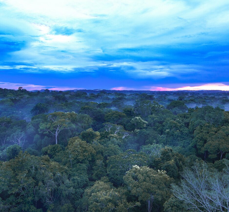 Cristalino Lodge, Amazon Rainforest
