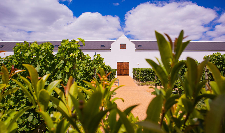 gallery-landscapeStellenbosch