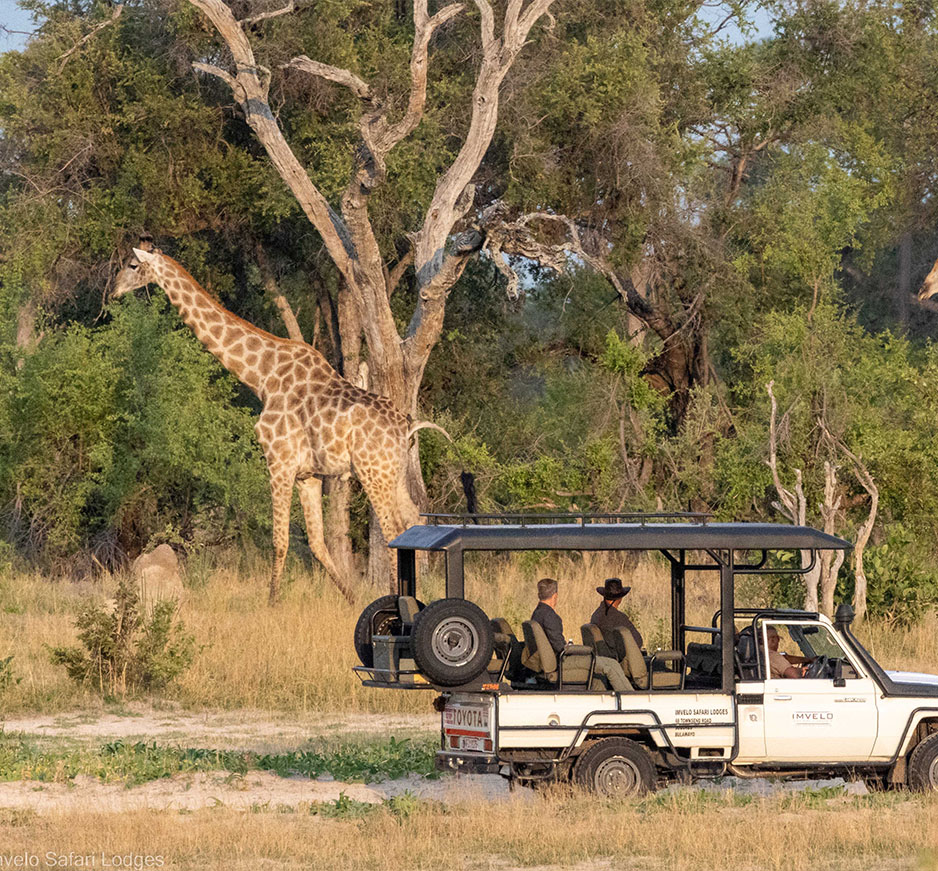 Zimbabwe and Botswana: Perfect Partners Creating One Destination