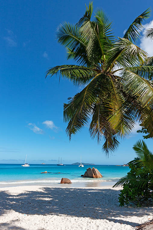 seychelles-gallery-portrait-Artboard-3