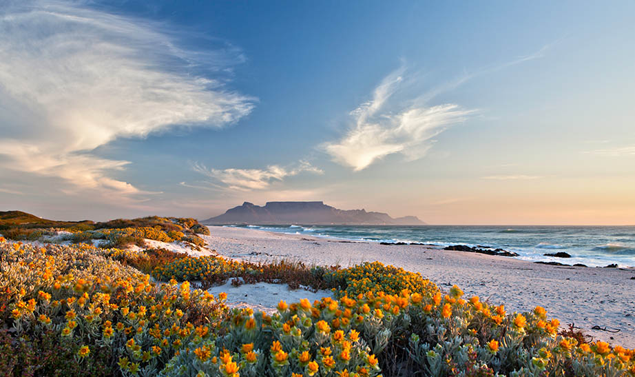 south-africa-gallery-landscape-Artboard-8