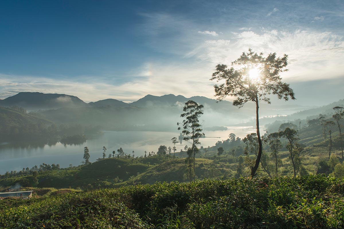 Where to travel in December