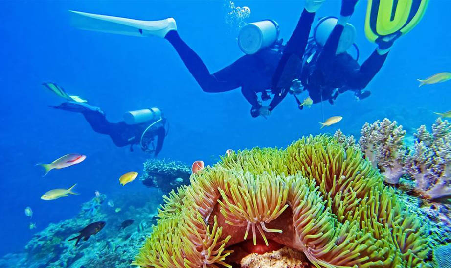 Diving in Thanda island