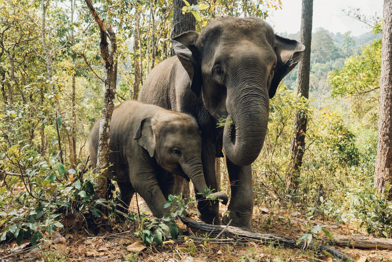 thailand-39