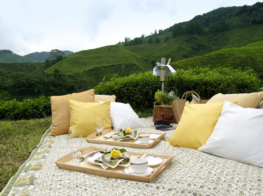 Cameron Highlands, Malaysia
