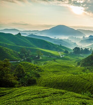 Malaysia: Cities, Highlands and Island Shores