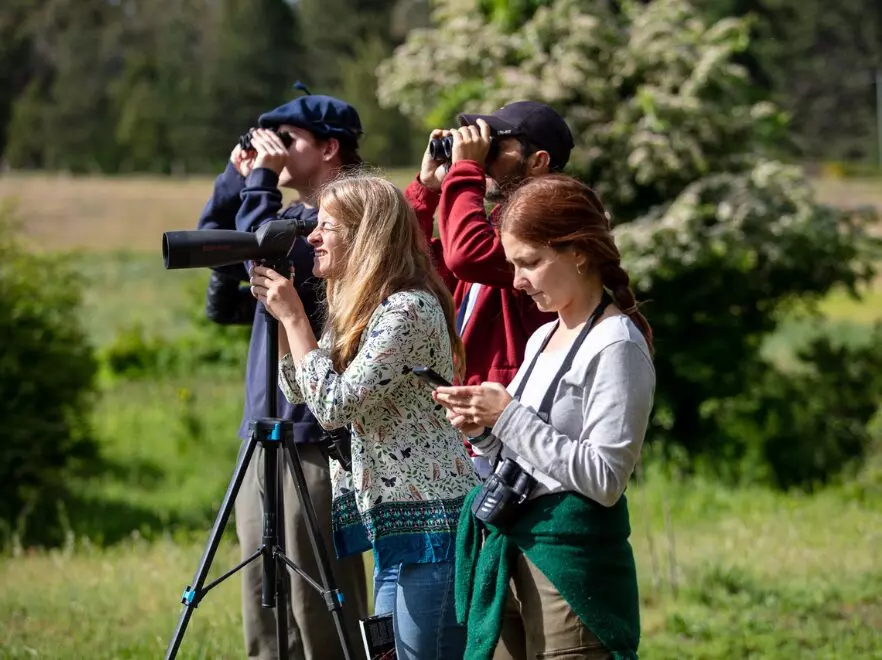 Birdwatching, Tipiluke Lodge, Argentinean Lake District, Argentina