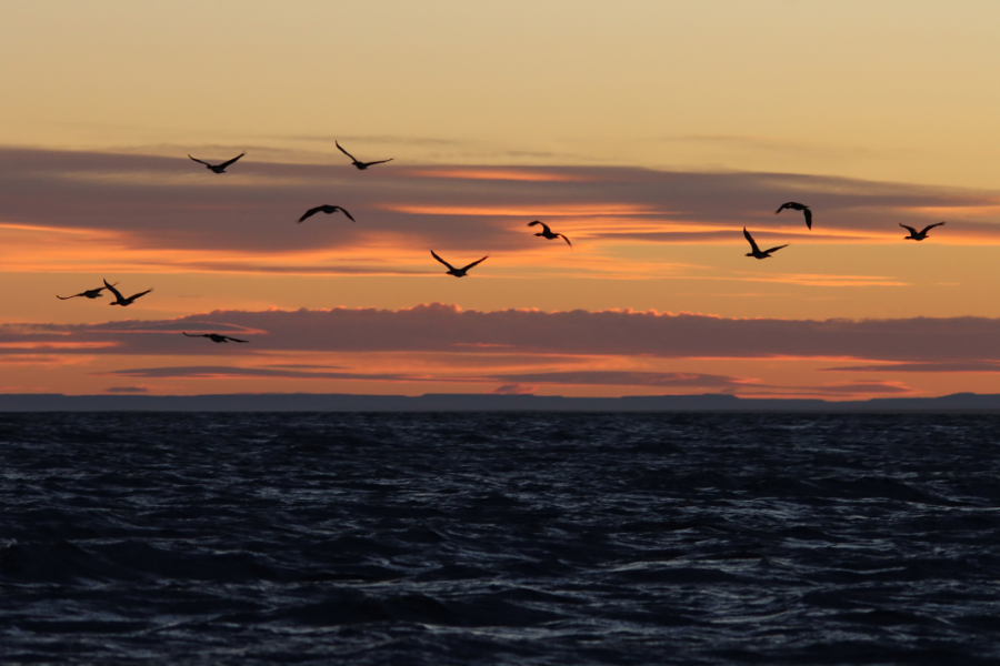 Watch the sunset over the Atlantic Ocean