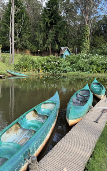 Three green canoes moored at a wooden jetty on a calm lake, surrounded by rainforest and a small wooden hut.