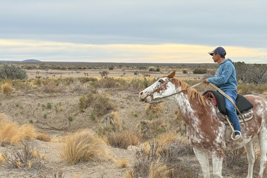 Meet the gauchos of Patagonia